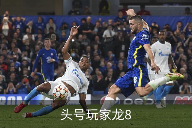 头号玩家龙8公司简介图片